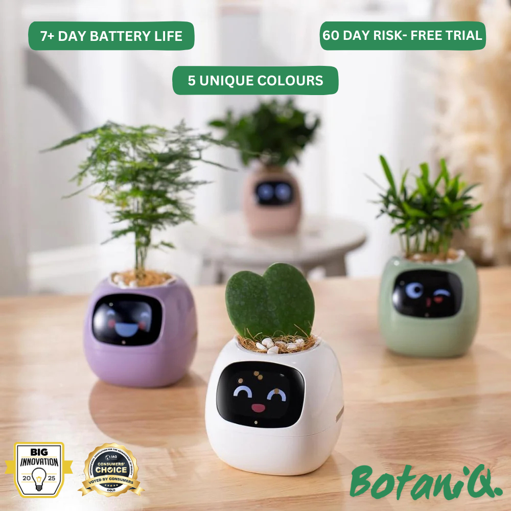 BotaniQ.® Ivy Ai Smart Plant Pot