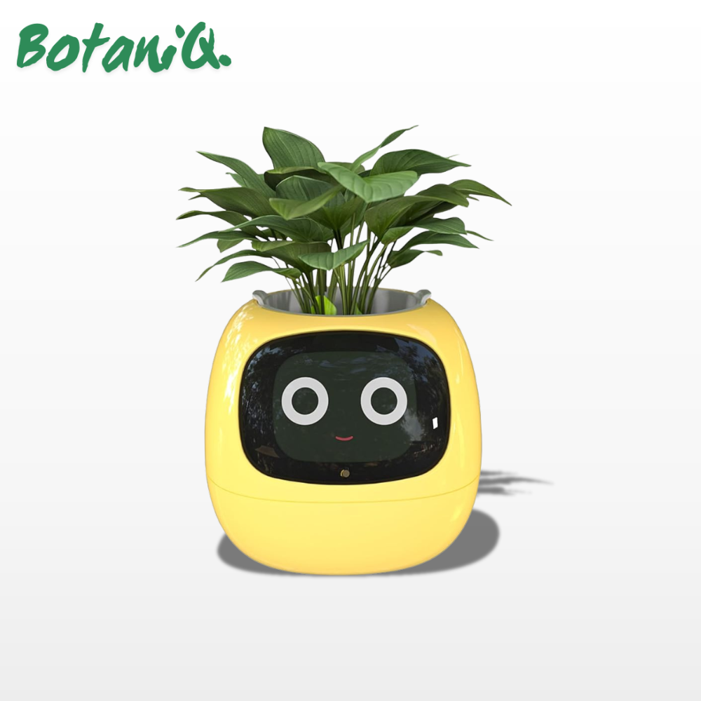 BotaniQ.® Ivy Ai Smart Plant Pot