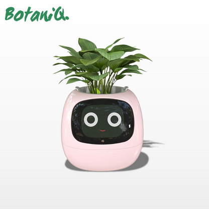 BotaniQ.® Ivy Ai Smart Plant Pot