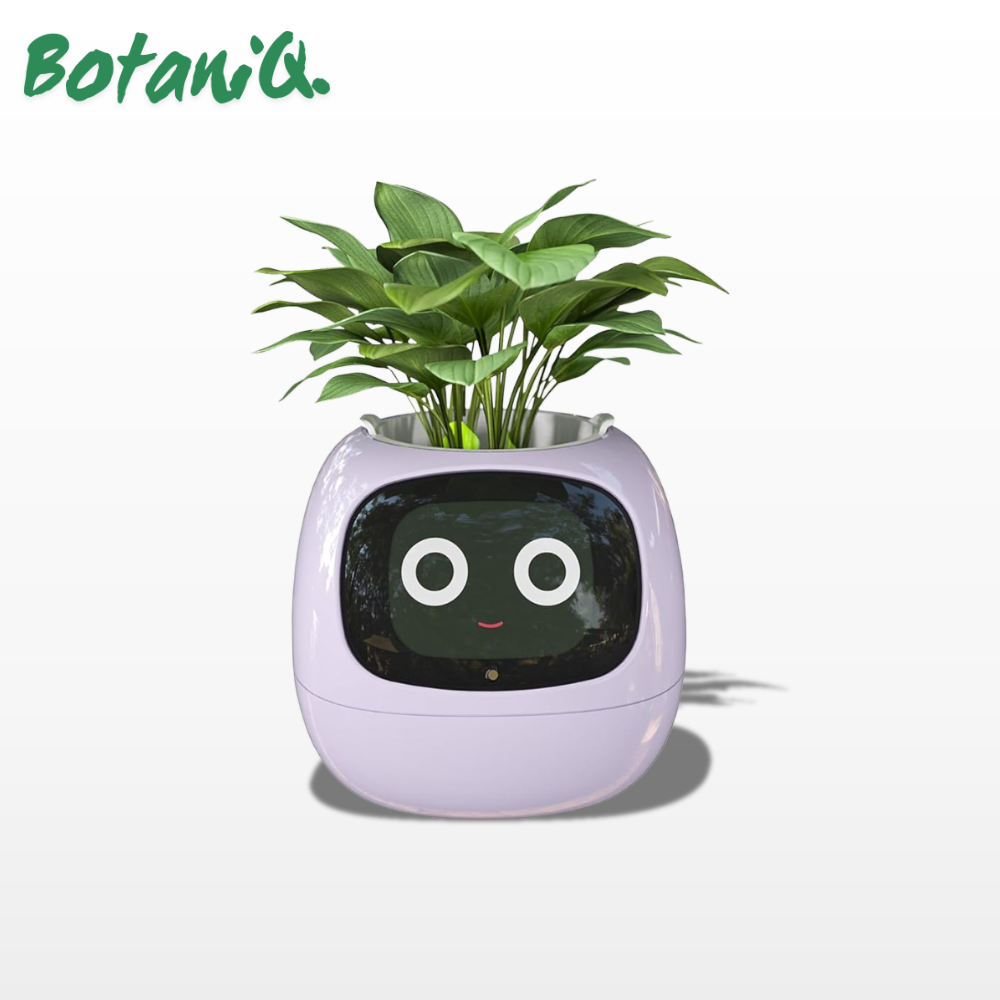 BotaniQ.® Ivy Ai Smart Plant Pot